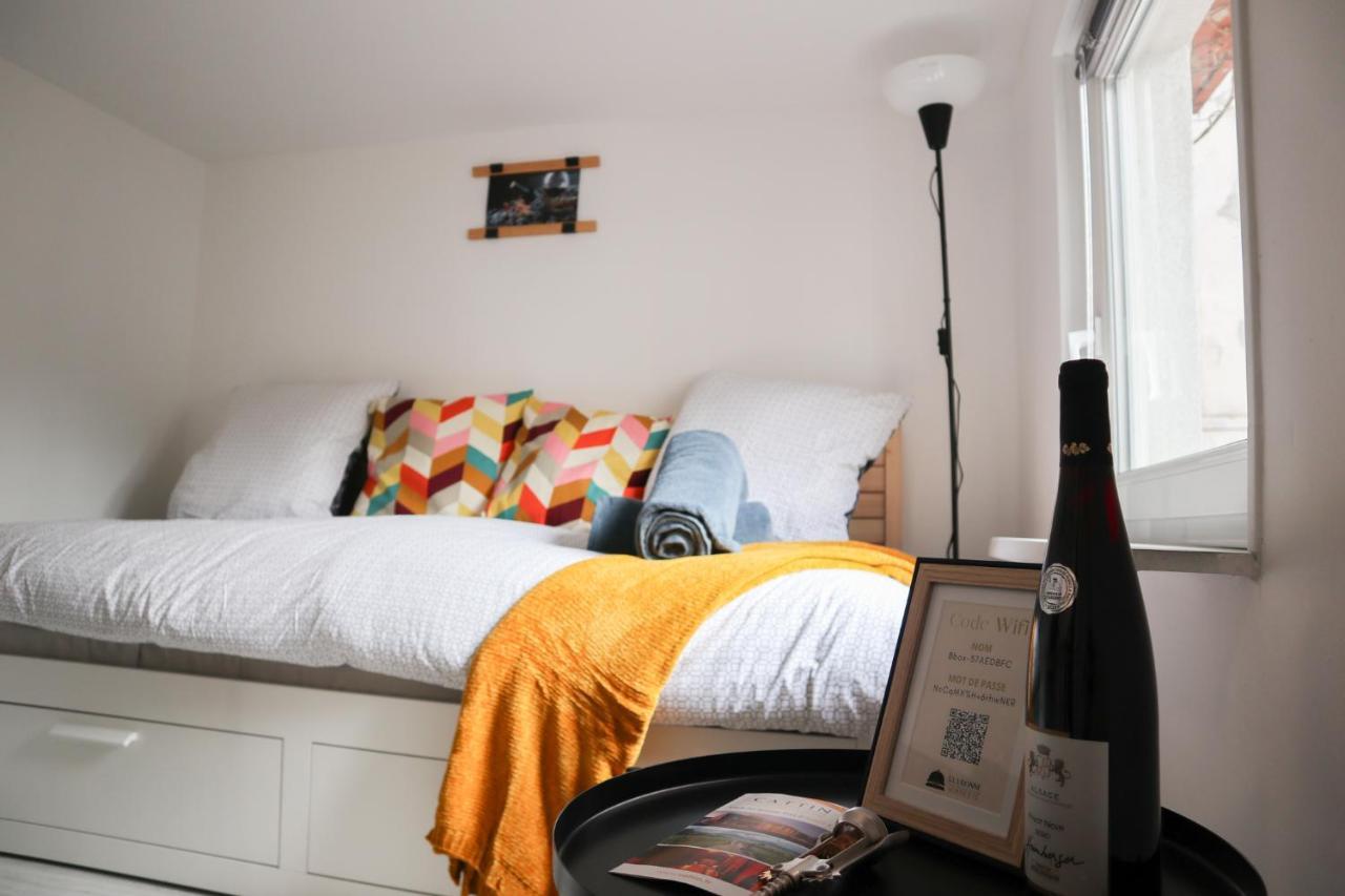 Appartement Le Domaine Mulhousien à Mulhouse Extérieur photo